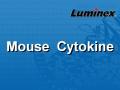 Luminex 小鼠细胞因子 液相悬浮芯片