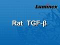 Luminex 大鼠TGF-β因子 液相悬浮芯片