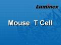 Luminex 小鼠T细胞相关因子 液相悬浮芯片