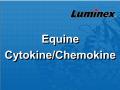 Luminex  马细胞因子 液相悬浮芯片