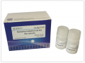 外泌体提取试剂盒（EIQ3）