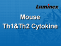Luminex 小鼠Th1/Th2细胞因子 液相悬浮芯片