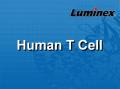 Luminex 人类T细胞相关因子 液相悬浮芯片