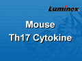 Luminex 小鼠Th17细胞因子 液相悬浮芯片