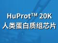 Huprot 20K人类蛋白组芯片