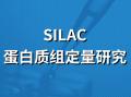 SILAC定量蛋白质组学