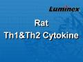 Luminex 大鼠Th1&Th2细胞因子 液相悬浮芯片