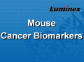 Luminex 小鼠肿瘤标志物 液相悬浮芯片