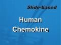 人类趋化因子抗体芯片  （QAH-CHE-1）