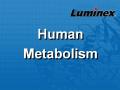 Luminex 人类代谢相关因子 液相悬浮芯片