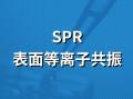 SPR分子动力学检测