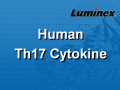 Luminex 人类TH17细胞因子 液相悬浮芯片