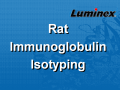 Luminex 大鼠免疫球蛋白亚型因子 液相悬浮芯片