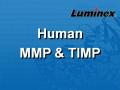 Luminex 人类MMP & TIMP因子 液相悬浮芯片