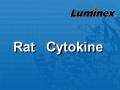 Luminex 大鼠细胞因子 液相悬浮芯片