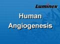 Luminex 人类血管生成因子 液相悬浮芯片