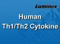 Luminex 人类Th1/Th2 细胞因子 液相悬浮芯片